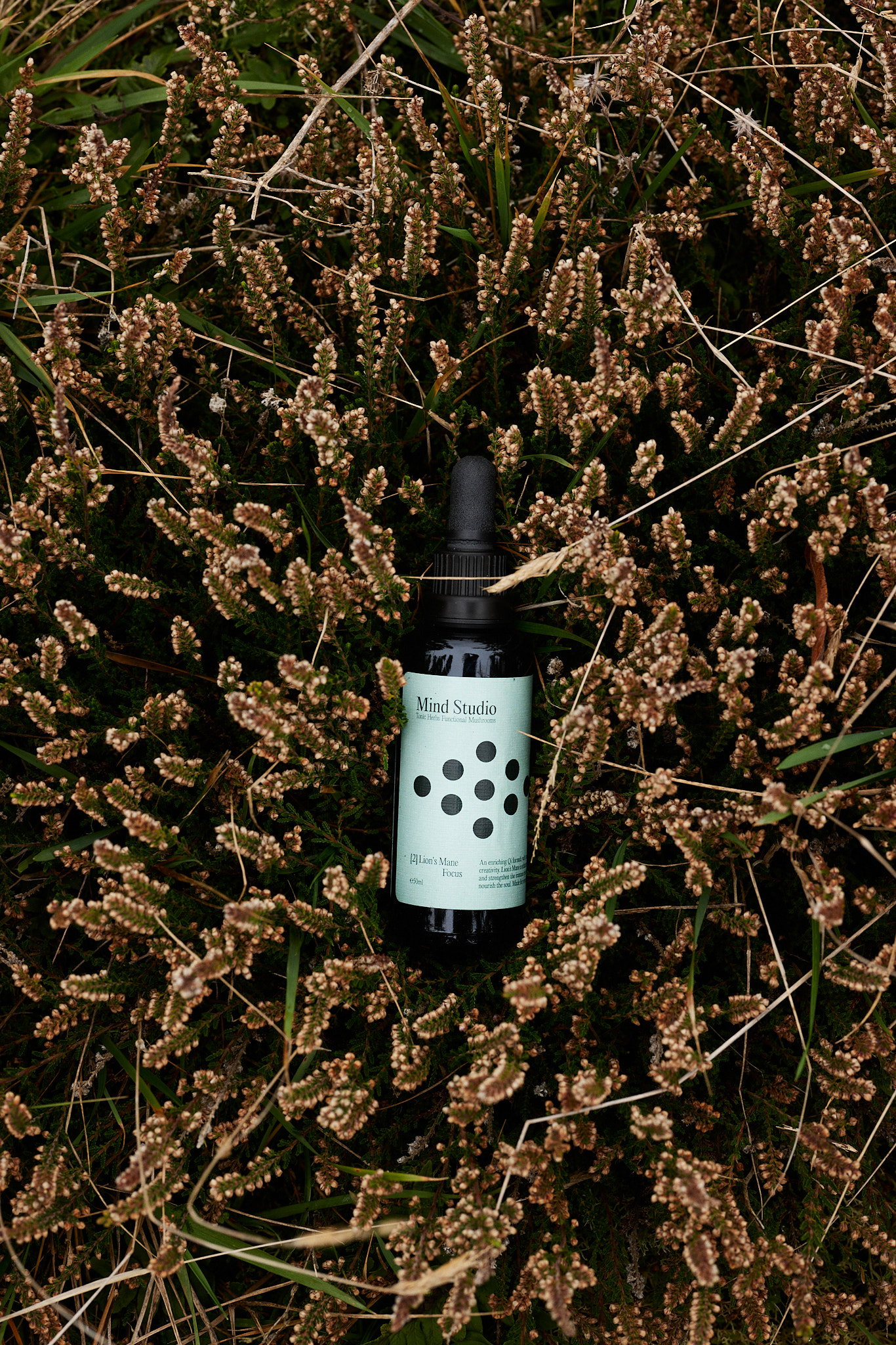 Vloeibaar extract van leeuwenmanenpaddestoel 3