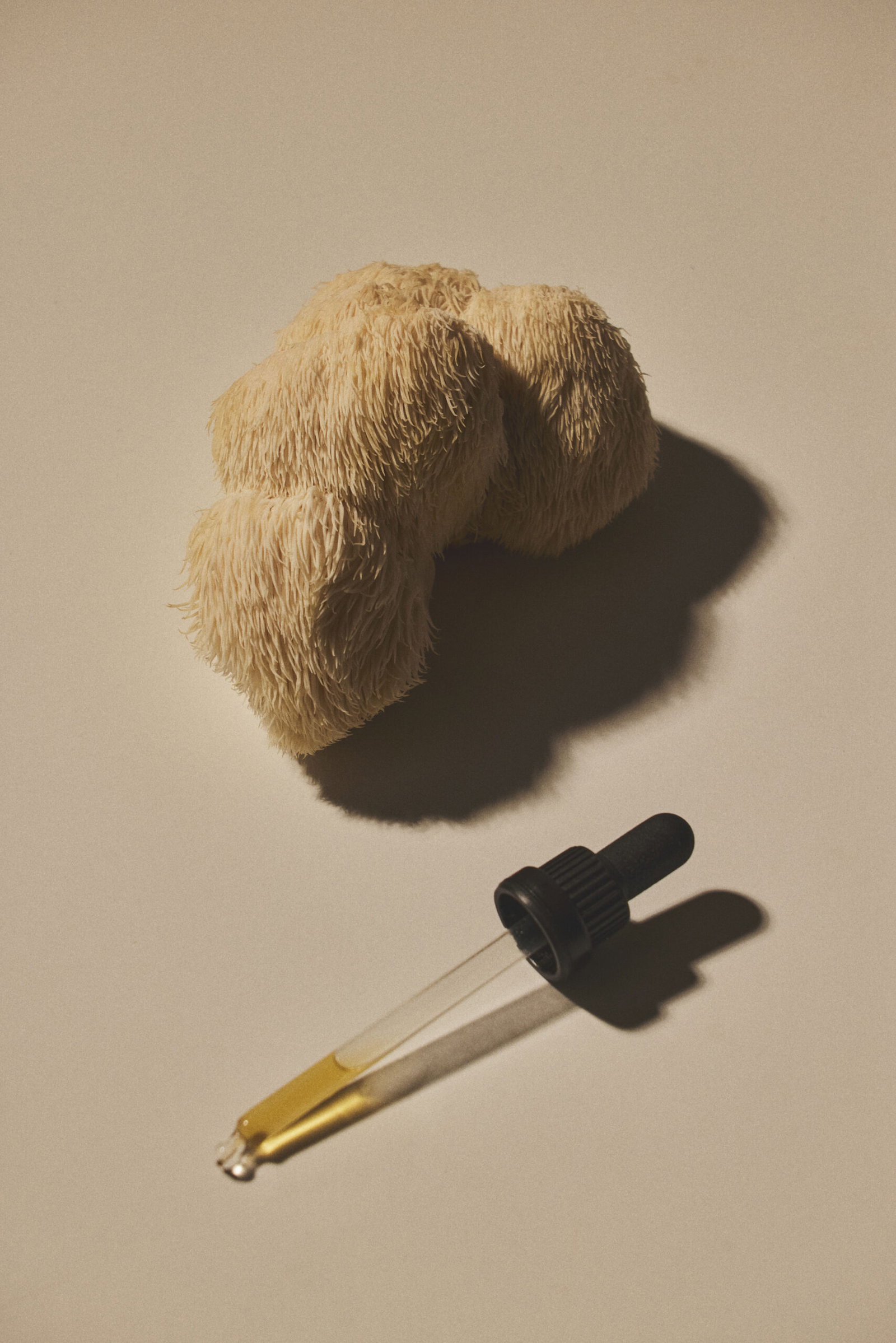 Het volledige pakket - Vloeibare extracten van paddenstoelen 5