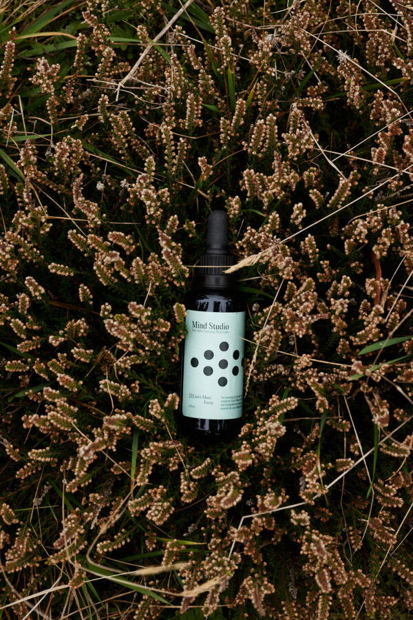 Vloeibaar extract van leeuwenmanenpaddestoel - Afbeelding 3